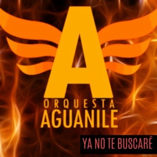Orquesta Aguanile