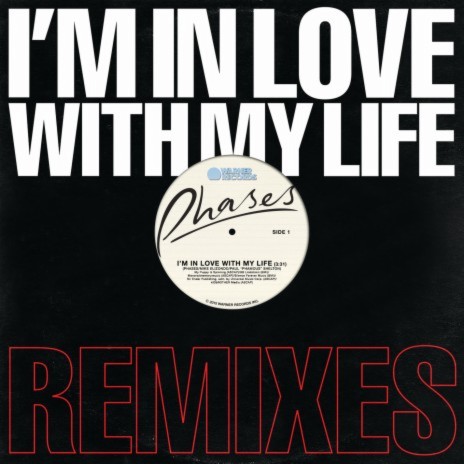 I'm in Love with My Life (Big Data Remix) | Boomplay Music