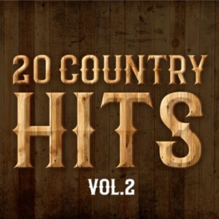 20 Country Hits Vol.2