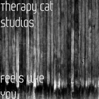 Therapy Cat Studios