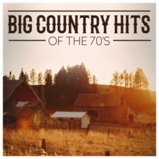 Big Country Hits Of The 70's