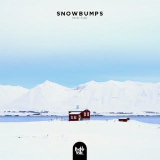 Snowbumps