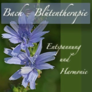 Bach Blütentherapie Entspannung und Harmonie