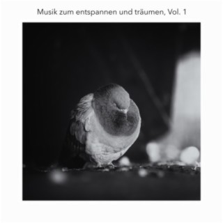 Musik Zum Entspannen und Träumen, Vol. 1