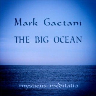 Mark Gaetani