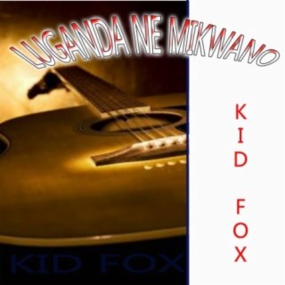 Kid Fox