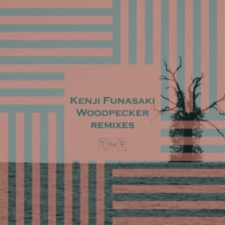 Woodpecker (Remixes)