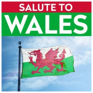 Salute To Wales