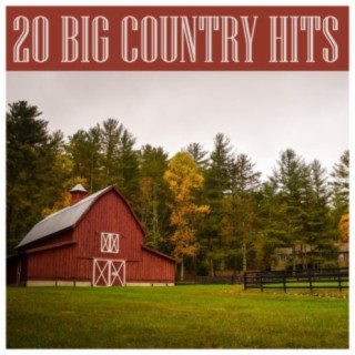 20 Big Country Hits