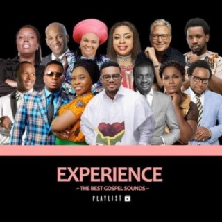 Experience (The Best Gospel Sounds)
