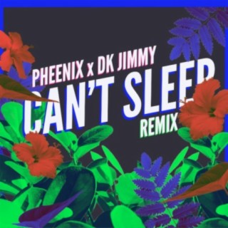 Can't Sleep (Remix)