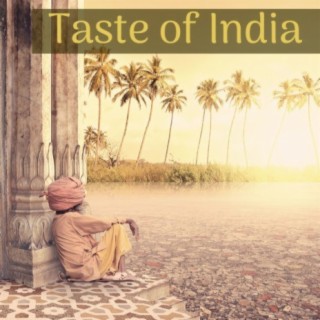 Taste of India: Sitar, Drums, Tabla and Flute Ethno Songs as Night Serenade