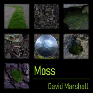 David Marshall