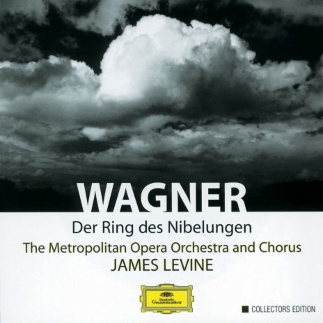 Wagner: Siegfried - Zweiter Tag des Bühnenfestspiels "Der Ring des Nibelungen" / Erster Aufzug - "Zwangvolle Plage!" ft. Metropolitan Opera Orchestra & James Levine | Boomplay Music