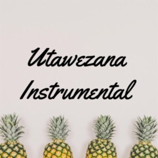 Utawezana Instrumental ft. Mejja lyrics | Boomplay Music