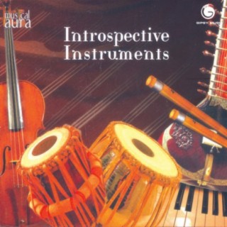 Musical Aura 1 Introspective Instruments