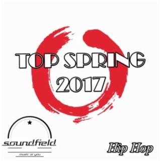 Hip Hop Top Spring 2017