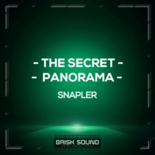 The Secret / Panorama