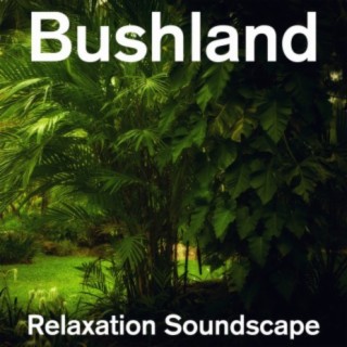Bushland Relaxation Soundscape