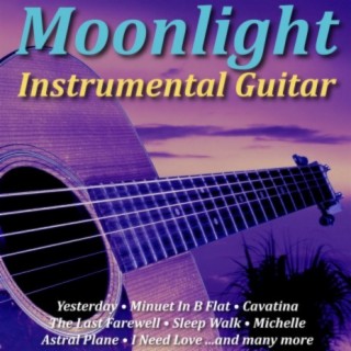 Moonlight Instrumental Guitar