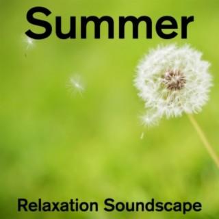 Summer Relaxation Soundscape