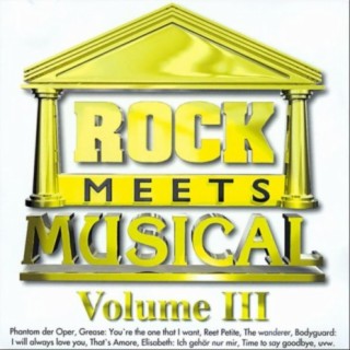 Rock Meets Musical - Volume III