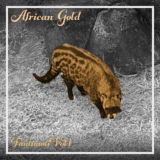 African Gold - Fantimoti Vol, 1