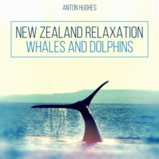 New Zealand Relaxation - Whales and Dolphins