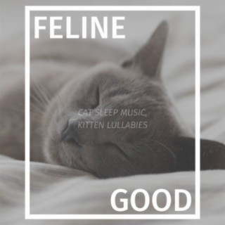 Feline Good: Cat Sleep Music, Kitten Lullabies