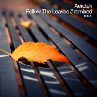 Follow The Leaves: Remixed