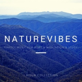 Nature Vibes 1: Perfect Sounds For Meditation & Sleep & Study