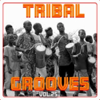 Tribal Grooves, Vol. 25