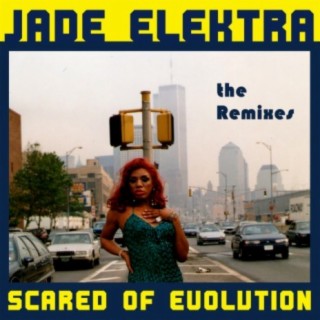 Scared of Evolution: The Remixes