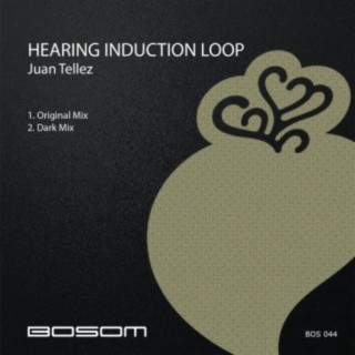 Hearing Induction Loop