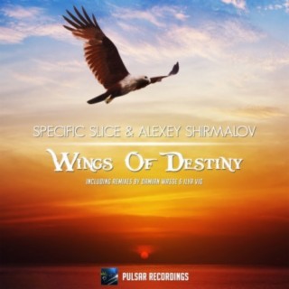 Wings Of Destiny