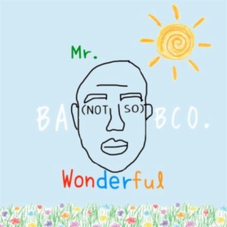 Mr. (Not So) Wonderful