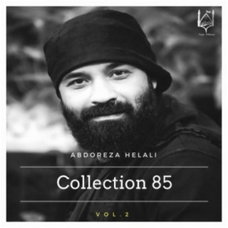 Collection 85, Vol.2