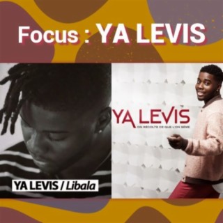 Focus: YA LEVIS