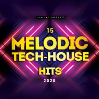 15 Melodic Tech House Hits 2020