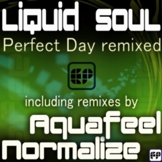 Perfect Day Remixed