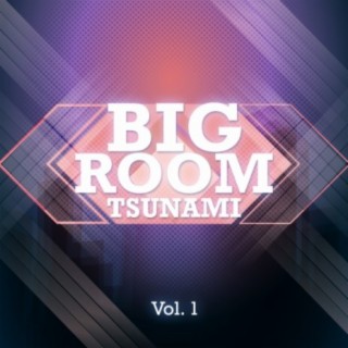 Bigroom Tsunami, Vol. 1