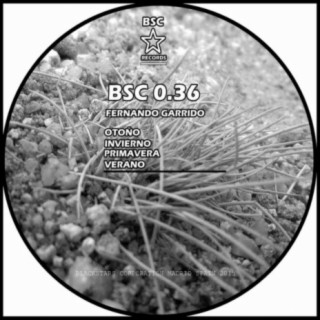 BSC 0.36