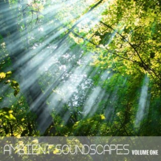 Ambient SoundScapes, Vol 1