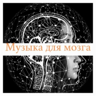 Музыка для мозга: Музыка с дельта-волнами для мозга и памяти
