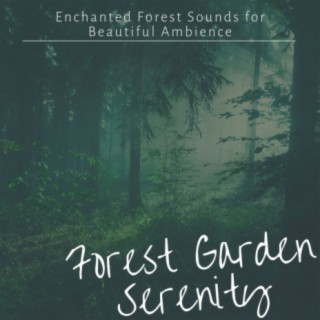 Forest Garden Serenity: Enchanted Forest Sounds for Beautiful Ambience