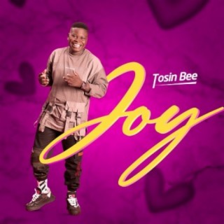 Joy lyrics | Boomplay Music