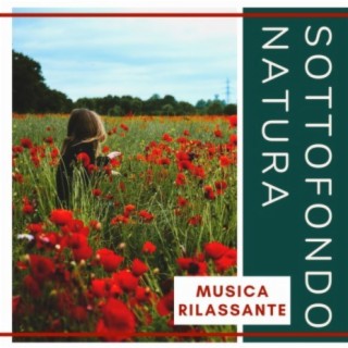 Sottofondo Natura: Musica rilassante per calmare la mente