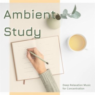 Ambient Study: Deep Relaxation Music for Concentration