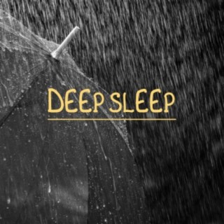 Deep Sleep Rain & Thunder