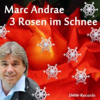 3 Rosen im Schnee